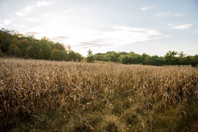 FREMONT CO. IA 158.32_18