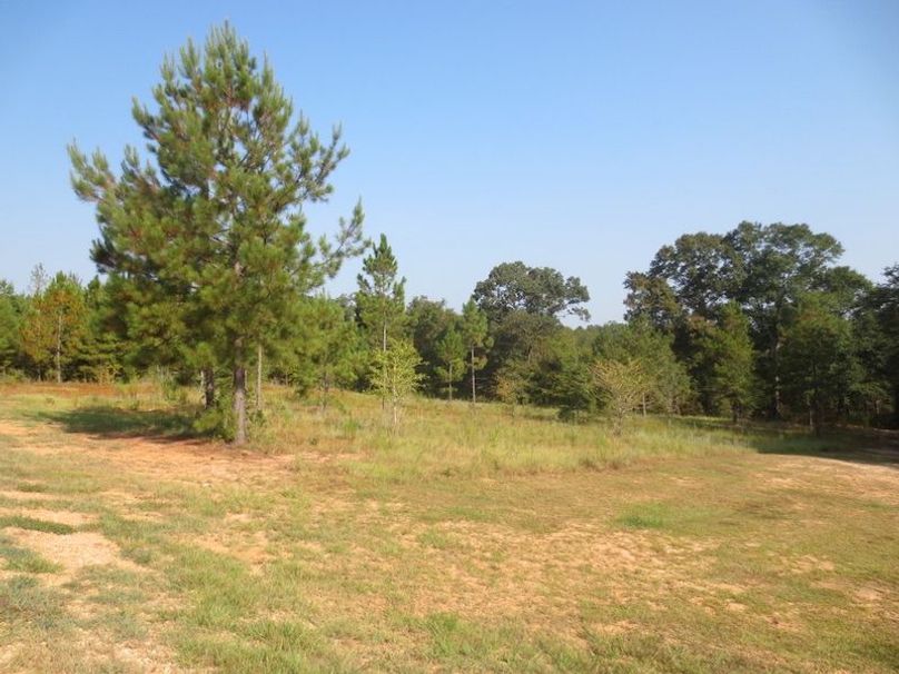 07DEAE73-DA13-44F8-88FA-14897BC1AAEF_1_105_c