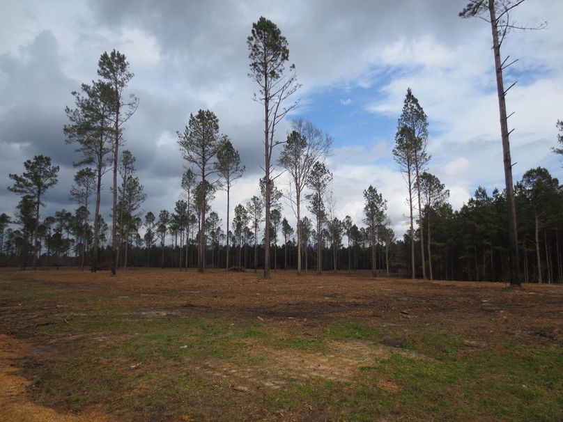 104339F4-11A2-4A16-B7D3-2767F18254D6_1_105_c