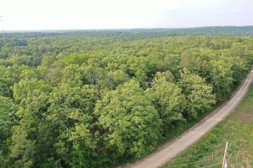 DJI_0976