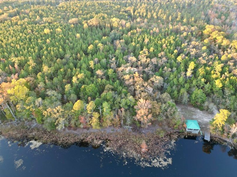 dji_fly_20251103_173046_401_1762260557366_photo