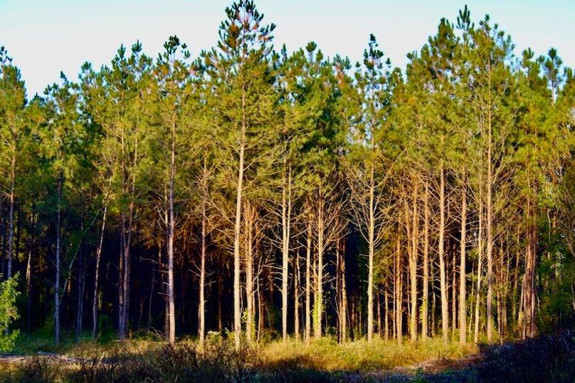 A70F40B3-ACE7-47D0-A685-3694A9B2CB2E_1_105_c