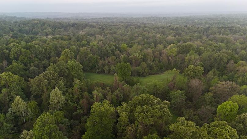 Claiborne Co-314-Fernandez-96