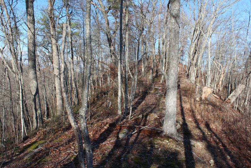 013 ridgeline shot from the south boundary of the property