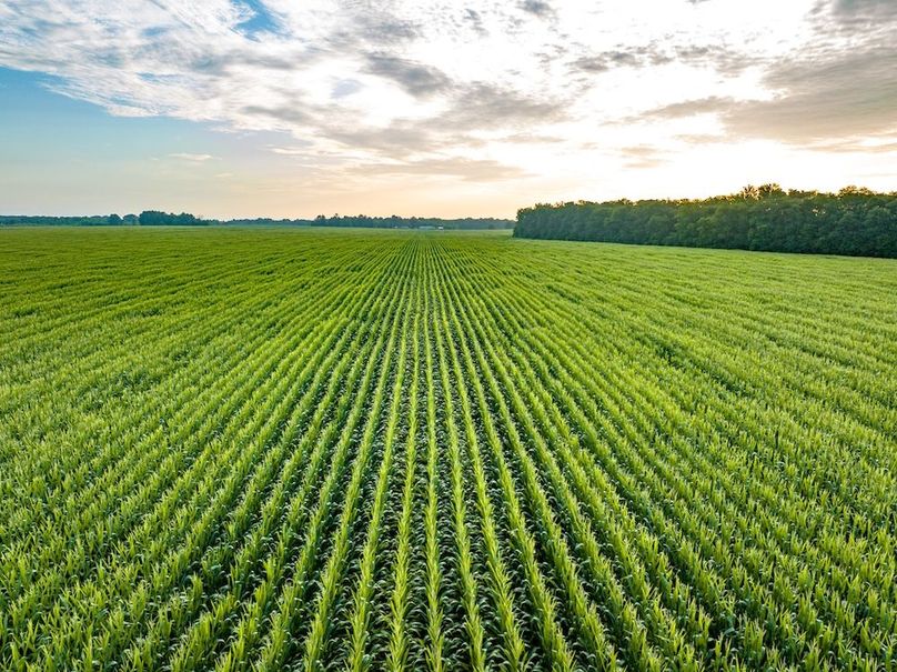 Copy of Noxubee 112.1 +- Tract 1-26