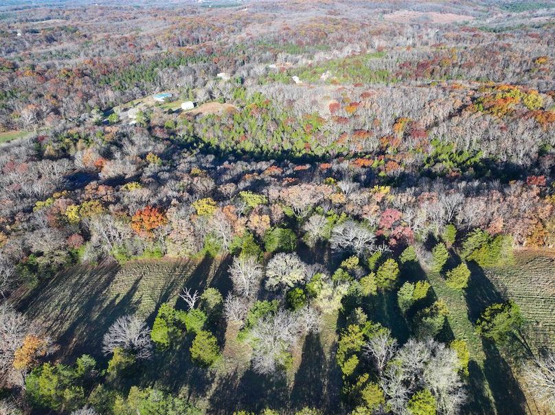 DJI_20251112080739_0870_D