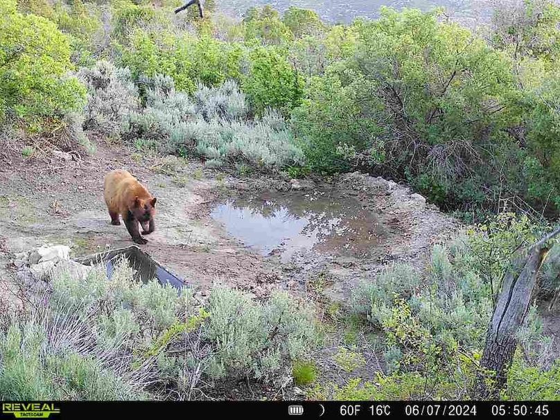 860516060007964-100-2-06072024055044-V-W1001134