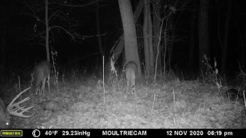 C5735D20-89C5-44DF-8D0E-83745E0E033E