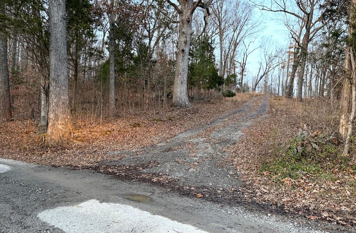 Grayson 48.195 Johnson1