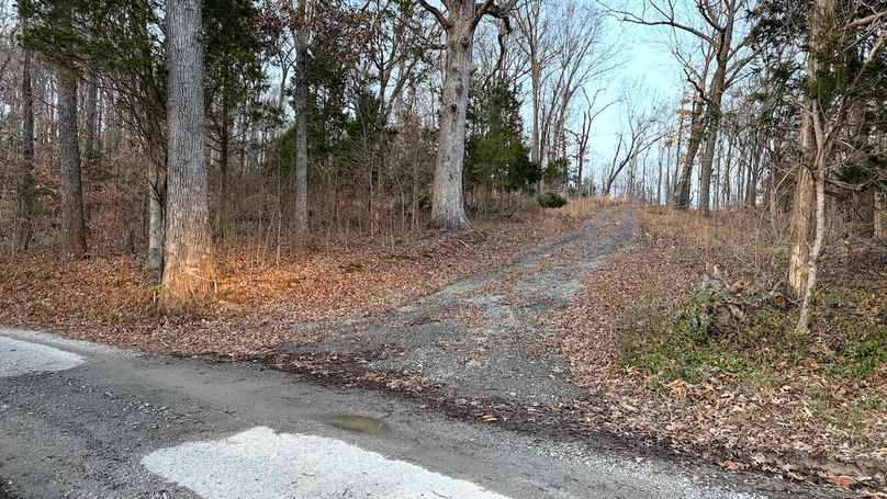 Grayson 48.195 Johnson1