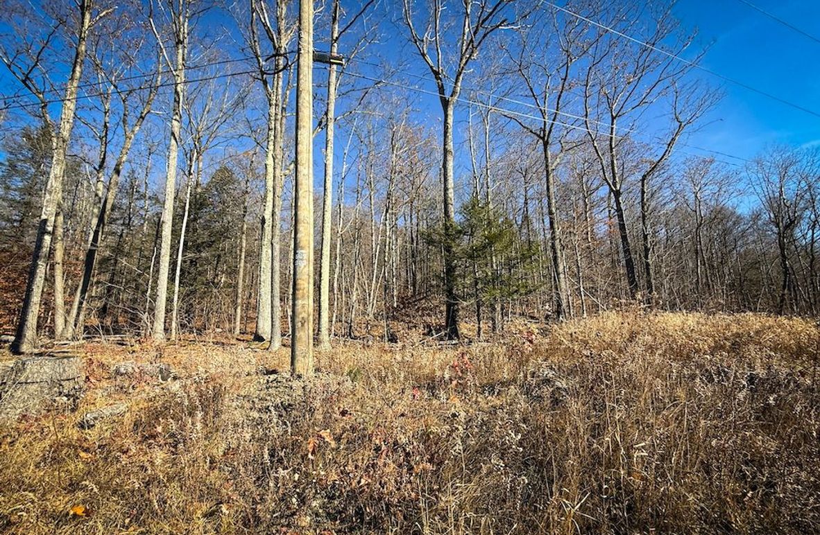 Chemung_31.75_Seymour_North_Photos_5