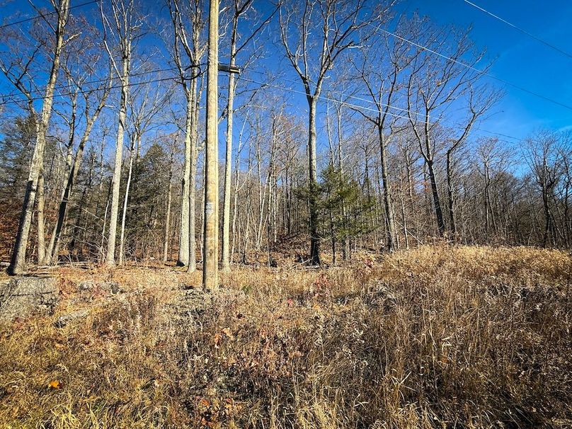 Chemung_31.75_Seymour_North_Photos_5