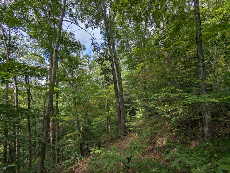 PXL_20230908_181304452