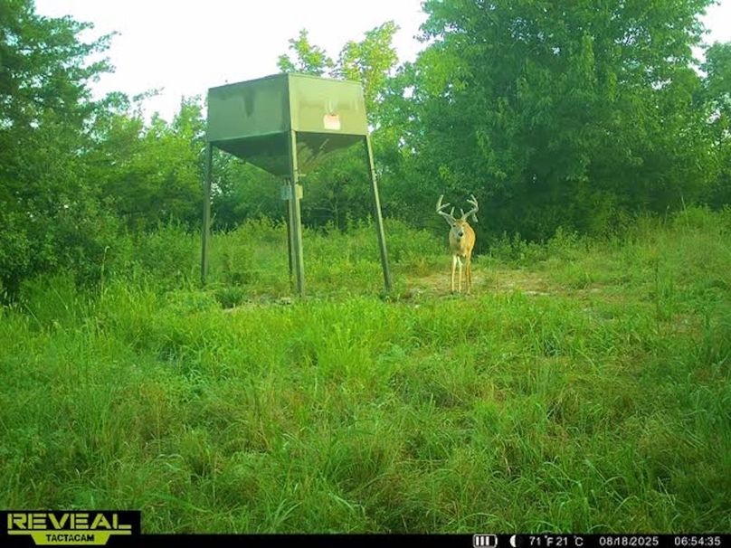 865509050410723-50-2-08182025065453-v-w1013111