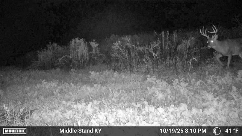 Fleming Petry 115-66