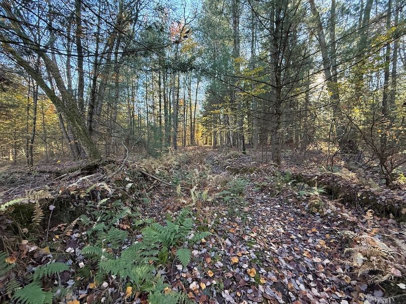 Oswego_26.28_Koehler Photo 17