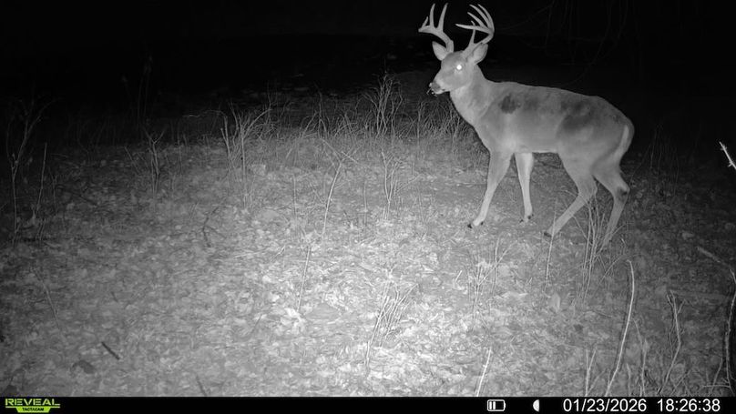 016579007722387-44-2-01232026182638-V-SYFW07823