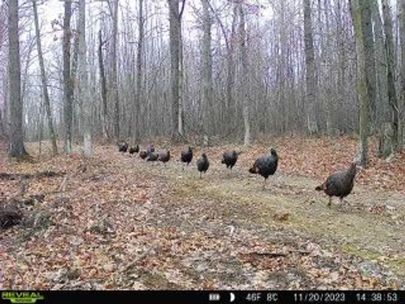 d83ec16a-9b1e-4a94-b3a5-909e278b38f5