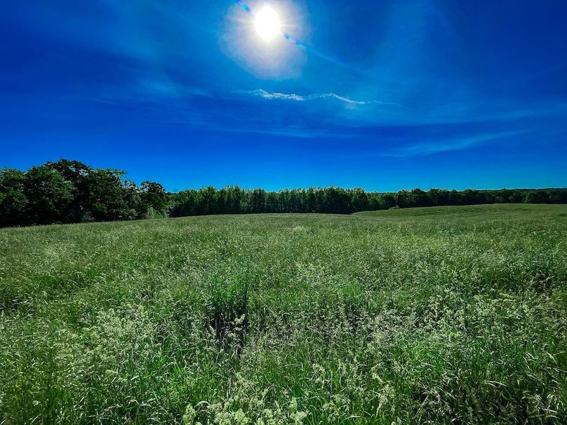 Haralson GA 100 McIntyre-07