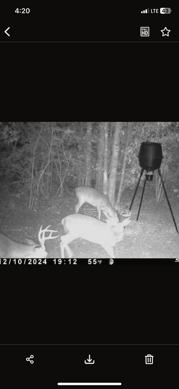 Trail Pic 8