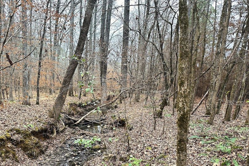10 Creek 