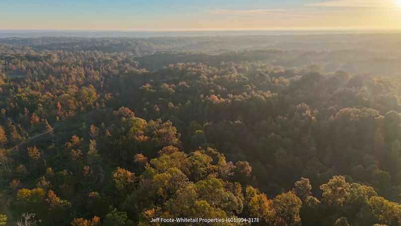 Claiborne Co-151-Geronimo-35