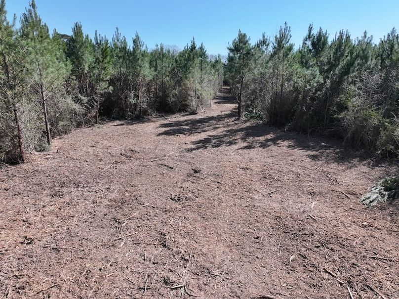 dji_fly_20260302_130346_0338_1772559701367_photo