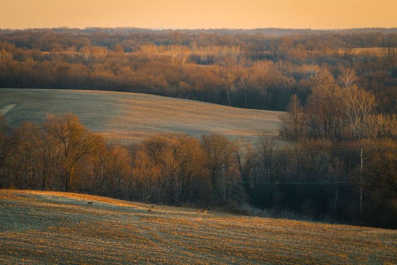 DJI_20260227065509_0008_D