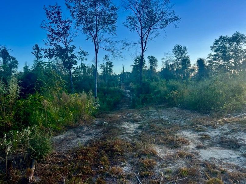 D88C88F5-0967-4D30-B09B-9A1C6D12B385_1_105_c