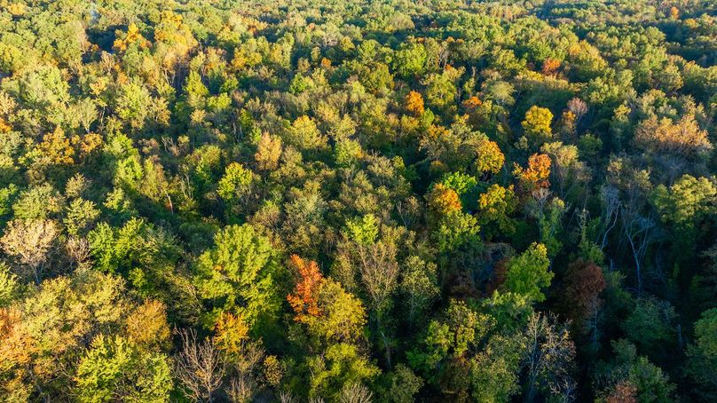 DJI_20251022190411_0007_D