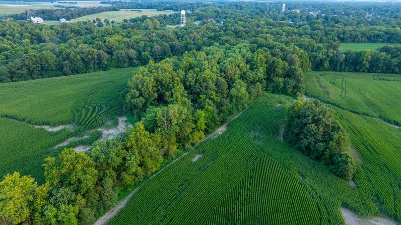 Copy of DJI_20250806063430_0078_D Large