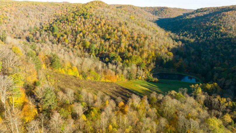 Elk PA 7000 Feature_Pro Photo-85