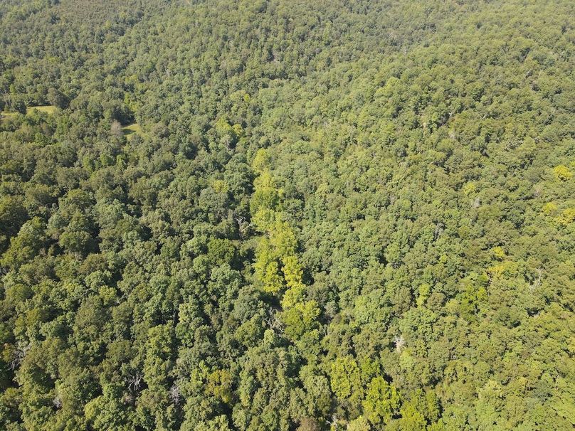 dji_fly_20250818_150754_665_1755547719162_photo