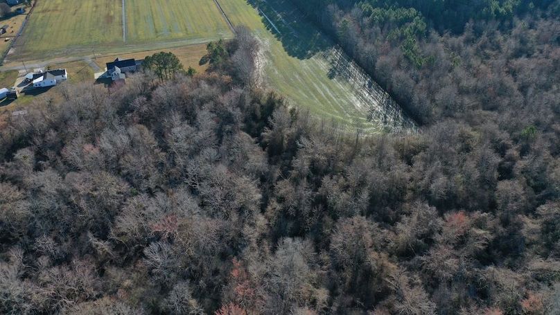 DJI_0774