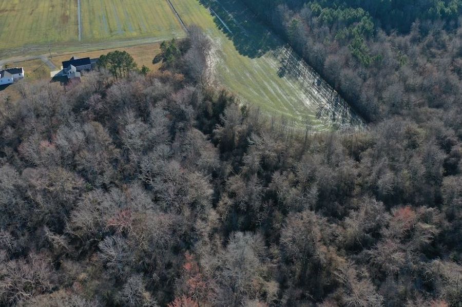 DJI_0774