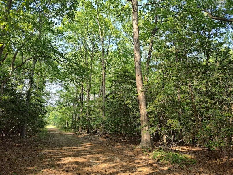 IMG_20260424_162213956_HDR