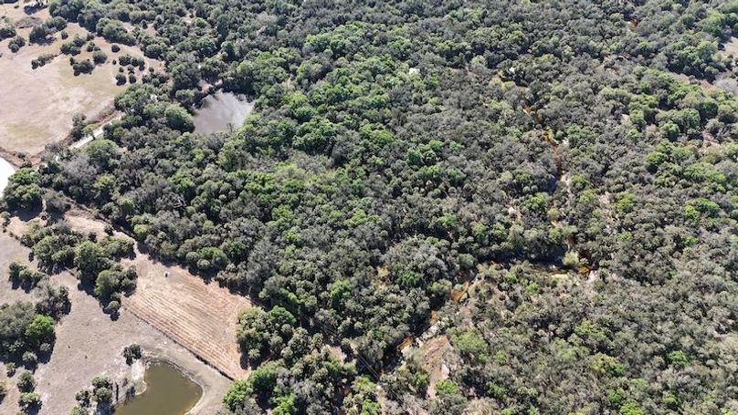 DJI_20260221145513_0345_D