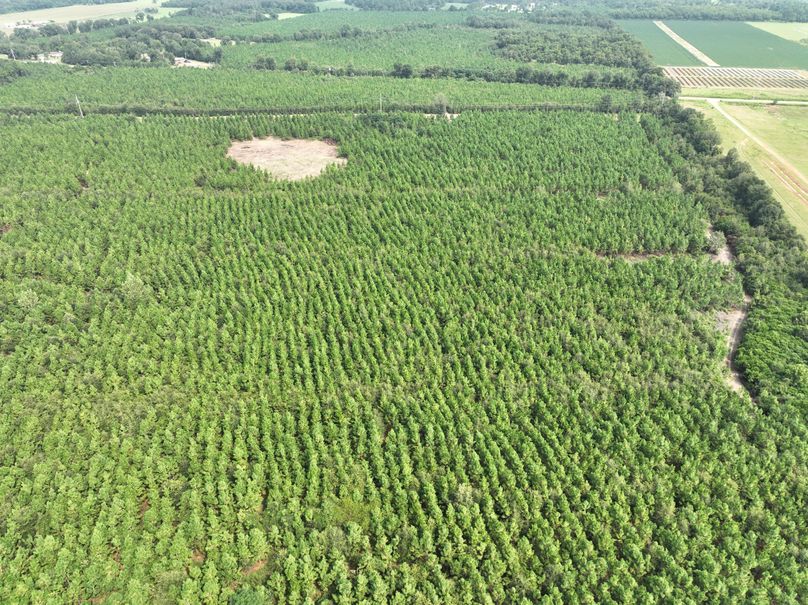 dji_fly_20230905_114146_633_1693928721594_photo