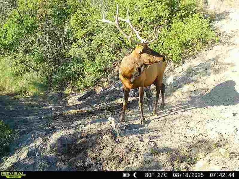 860516063676799-100-3-08182025074244-V-W1000119