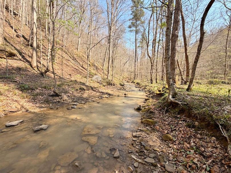 Scott Co TN 286 Keeton_030