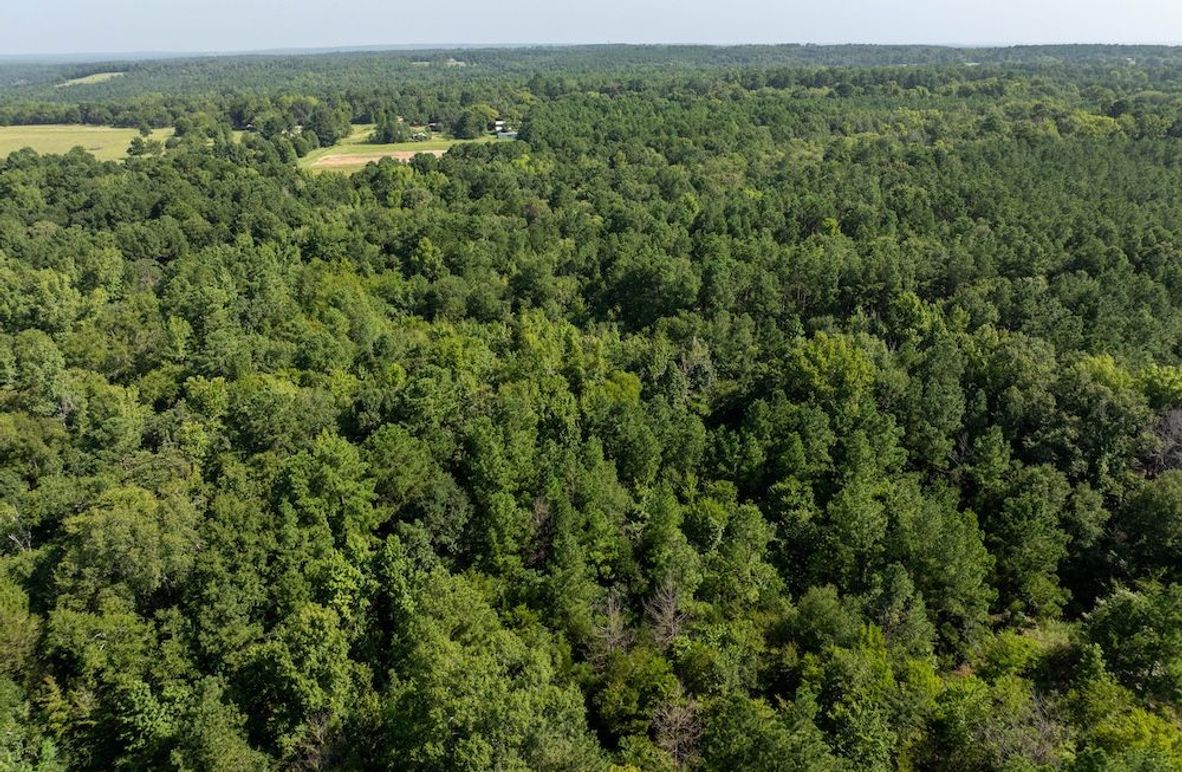 a2DJI_20240717050223_0136_D-HDR