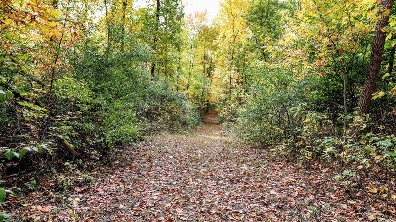 5.5