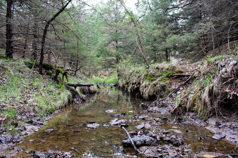 Washington, Co, 83.3_004