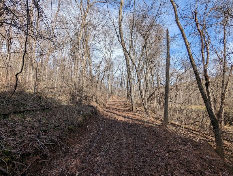 PXL_20230213_154644612