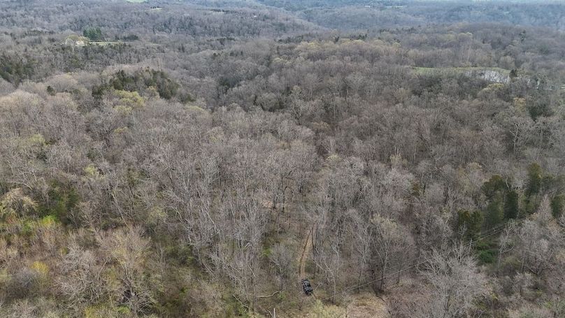 DJI_20250329094314_0277_D