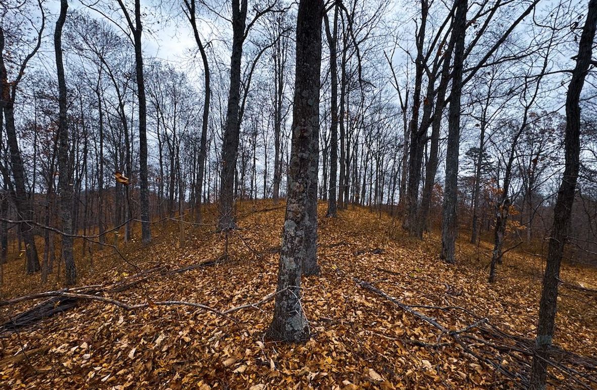 Ritchie, WV 100 AC Harper-04