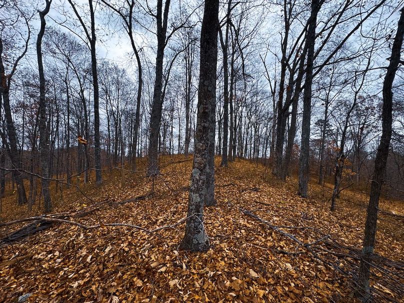 Ritchie, WV 100 AC Harper-04