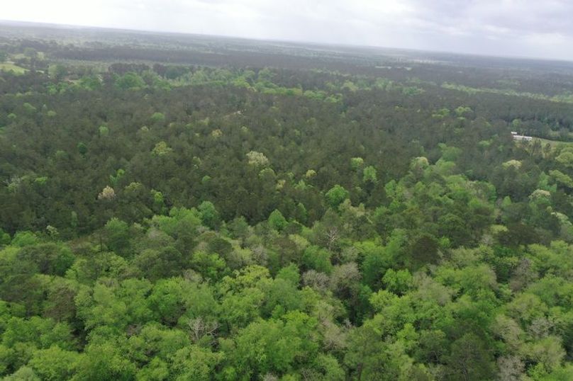 DJI_0013