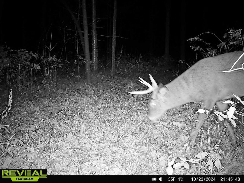 865814048154676-30-2-10232024214548-HD-W1000642