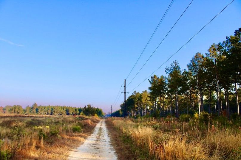 E4BFBFA5-820C-4513-A941-10EFE4FB34EE_1_105_c